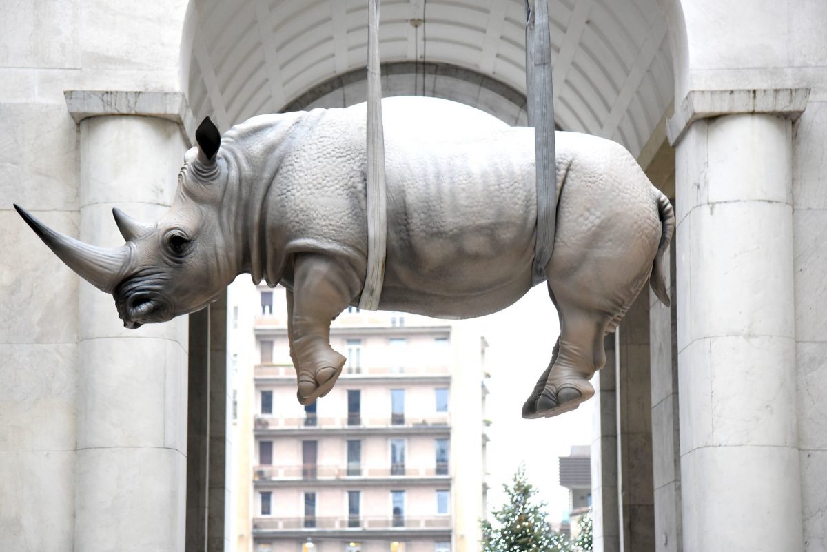 Rinoceronte-Bombardieri-Brescia